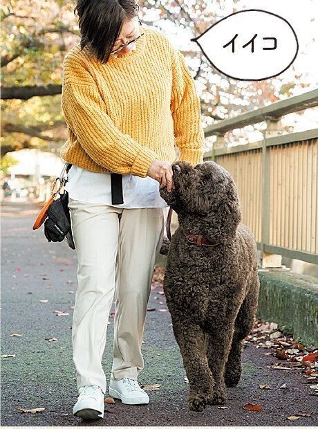 撮影／殿村忠博