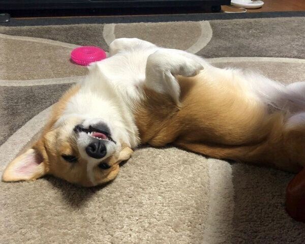 笑顔のつくしちゃん