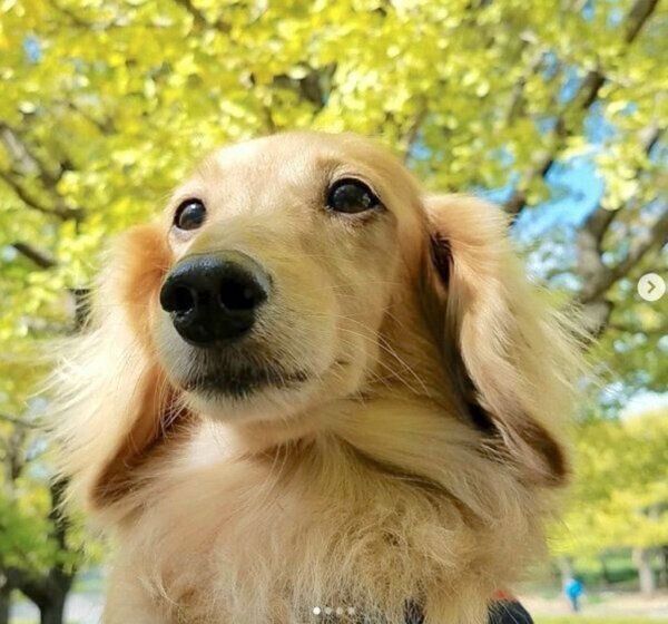 お出かけを楽しむ伶音ちゃん