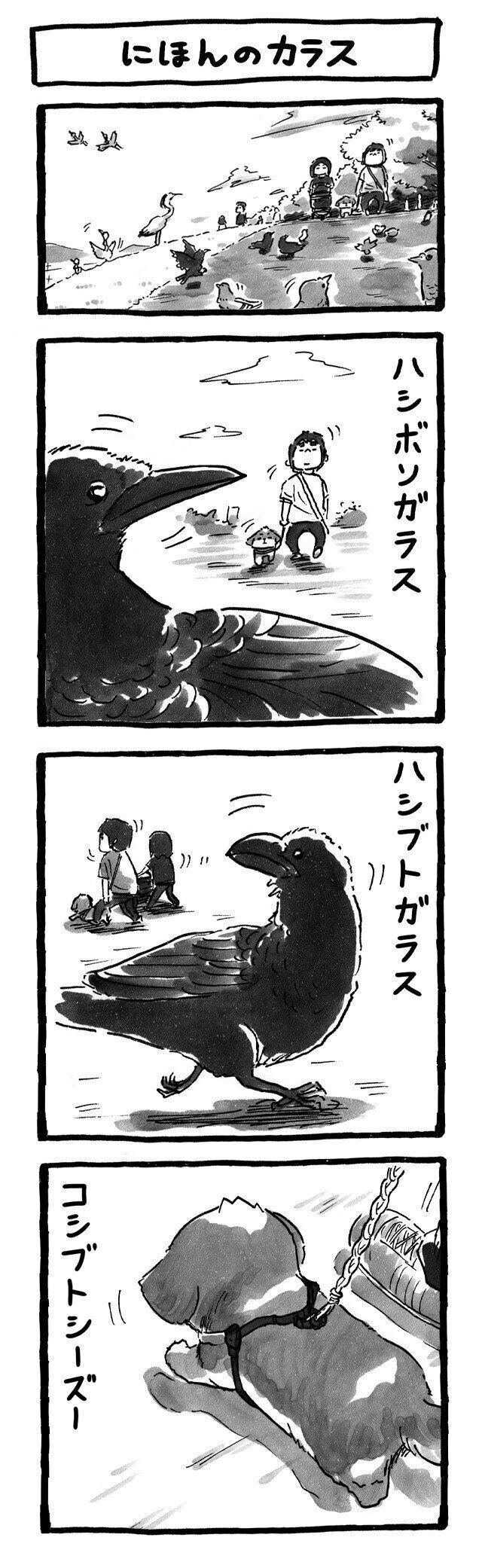 シーズー犬マンガてんぽshihtzu