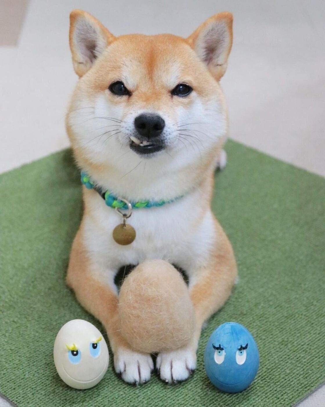 抜け毛さえ愛おしい 換毛期の愛犬の 抜け毛アート で分身ができた いぬのきもちweb Magazine 抜け毛さえ愛おしい 換毛期の愛犬の 抜け毛アート で分身ができた いぬのきもちweb Magazine