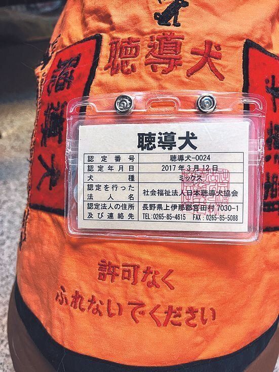 屋外では聴導犬コートを着用。法律により認定証を見せれば、どんな公共施設にも入れます