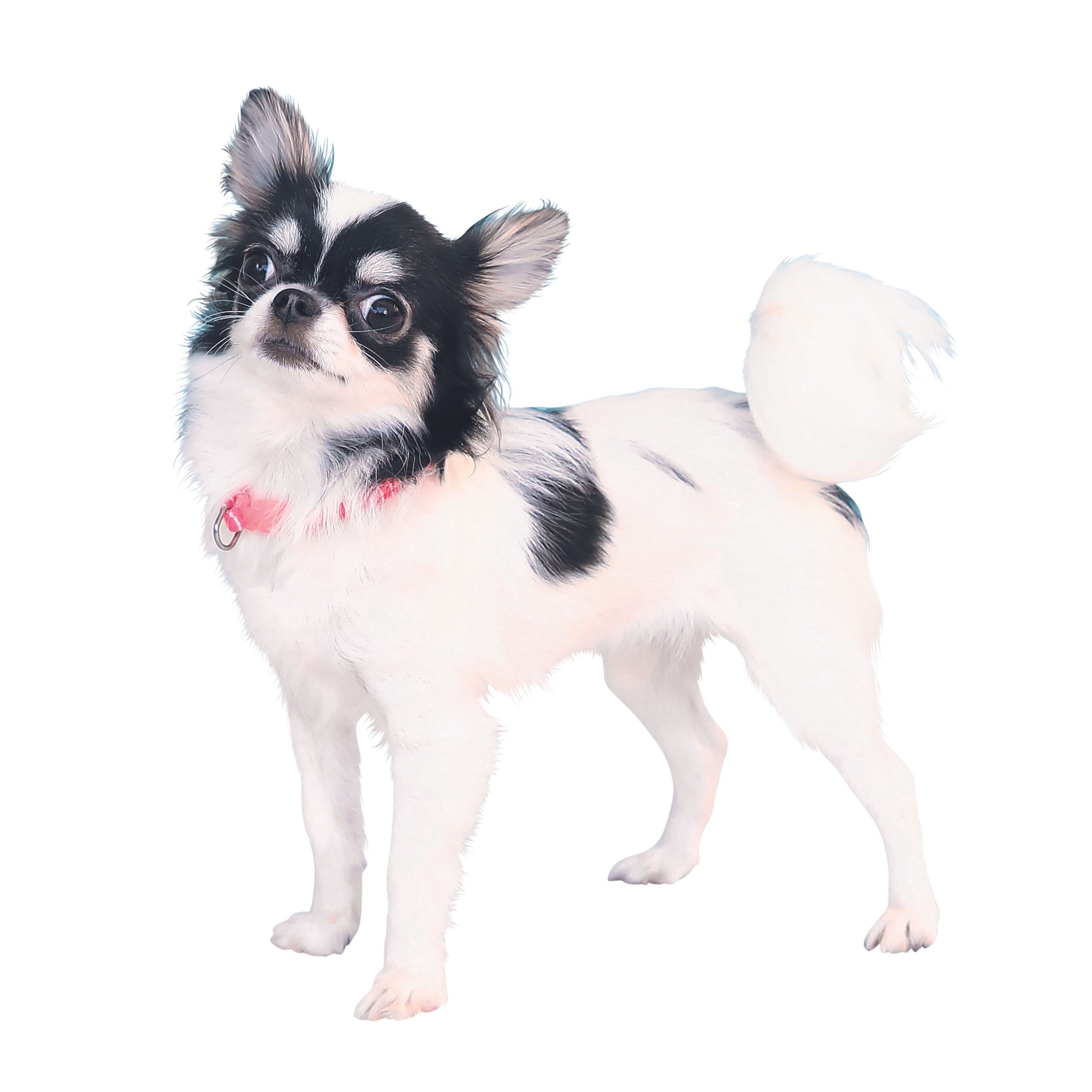 撮影／尾﨑たまき