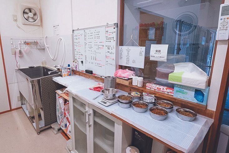 シェルター内には、フードを準備する部屋とトリミングルームも完備。ボードには、犬たちの毎日のゴハン量と投薬の種類が書かれています