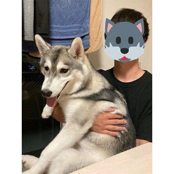 抱っこしてもらって嬉しそうなみぞれちゃん