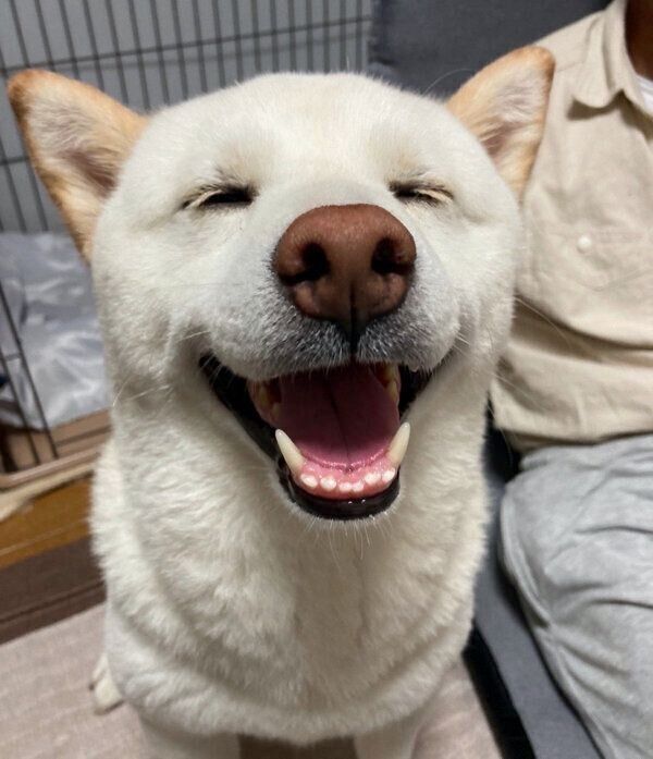 笑顔が可愛いハルくん