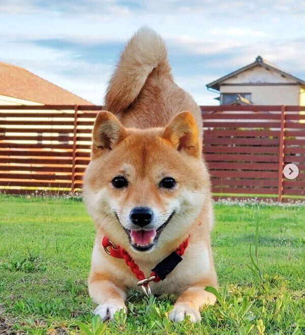 楽しそうなあまちゃん