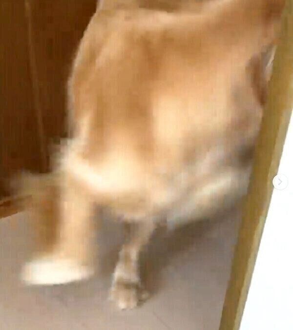 逃げるLUKEくん