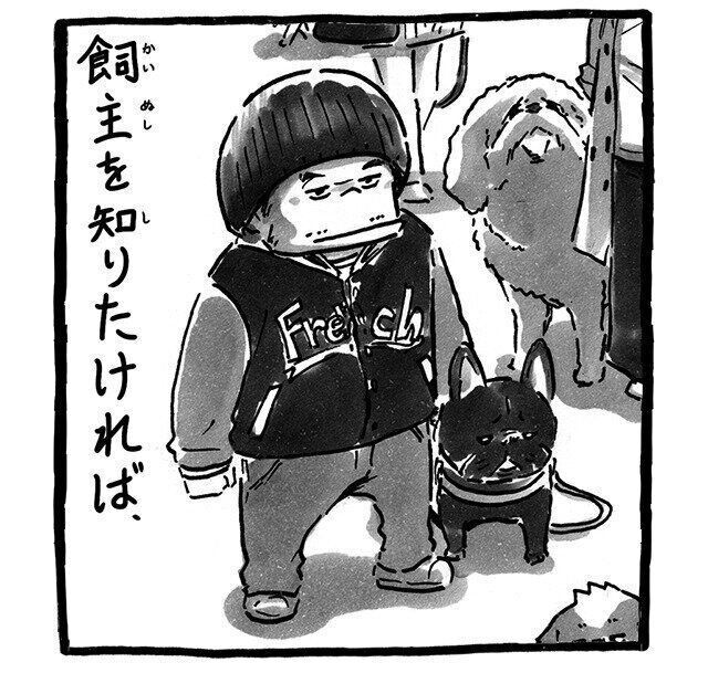 シーズー犬マンガてんぽshihtzu