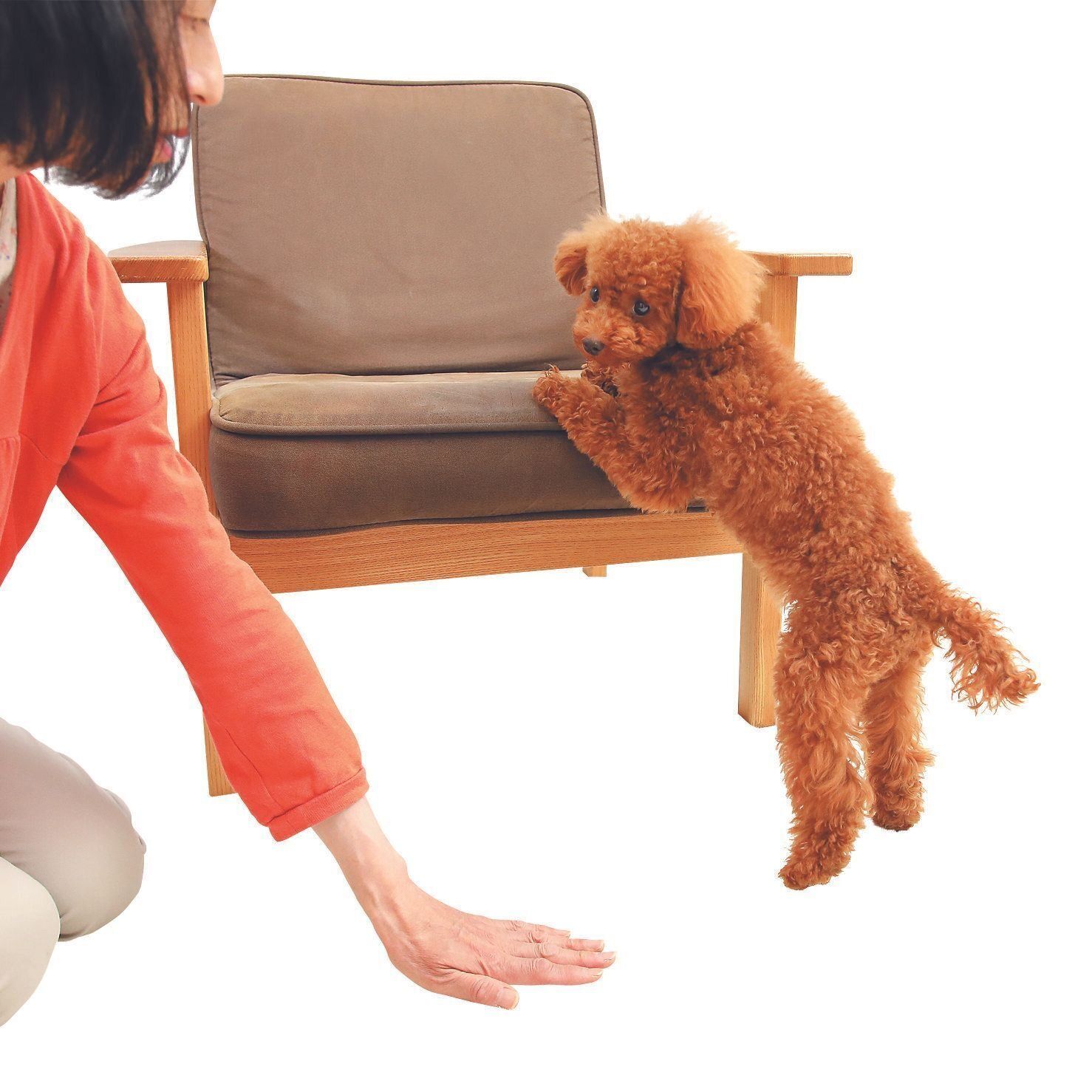 撮影／尾﨑たまき