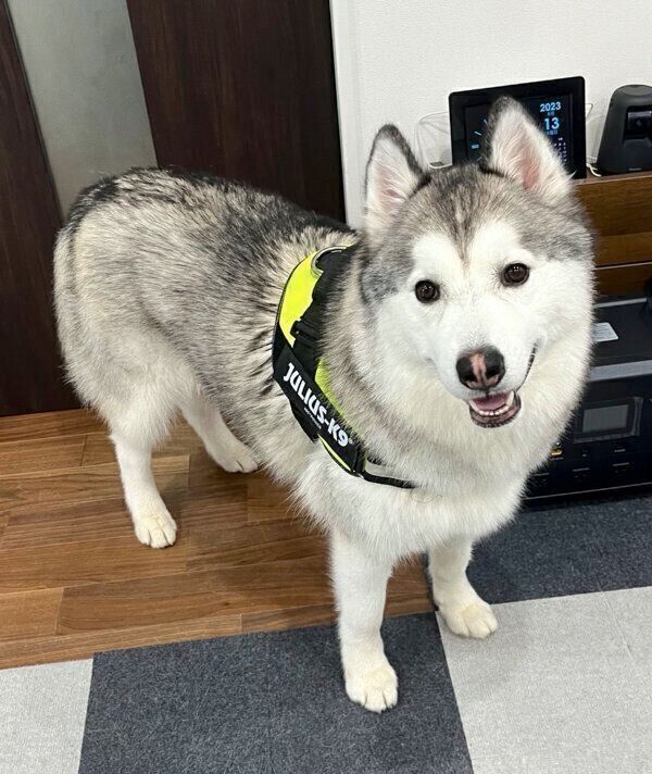 笑顔が可愛い煉くん