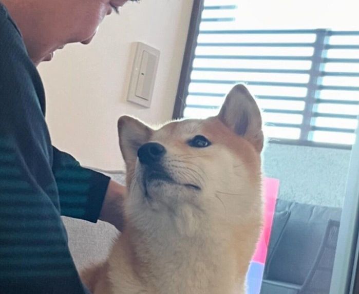 パパさんを見つめる会長さん