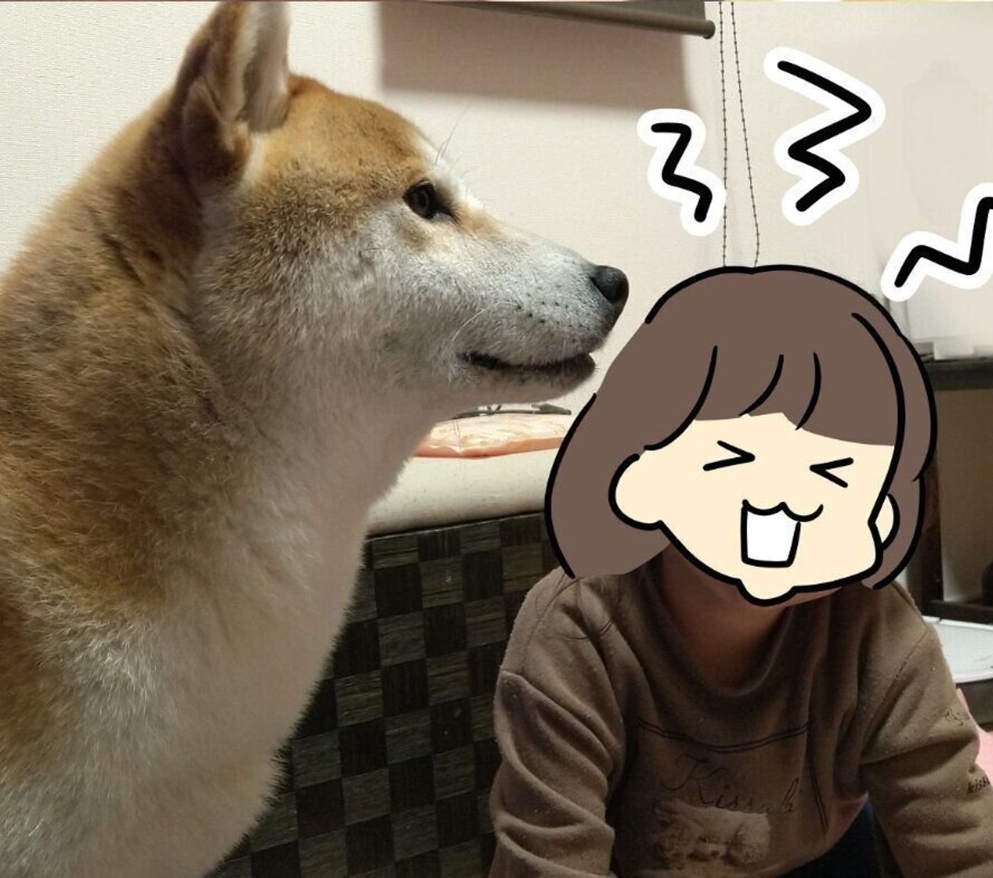 柴犬タロさんが怖がる音 チャイム音も娘が大騒ぎしてても平気なのに 連載 モフモフ柴とプニプニ娘 第122話 いぬのきもちweb Magazine 柴犬タロさんが怖がる音 チャイム音も娘が大騒ぎしてても平気なのに 連載 モフモフ柴とプニプニ娘 第122話 いぬのきもちweb Magazine