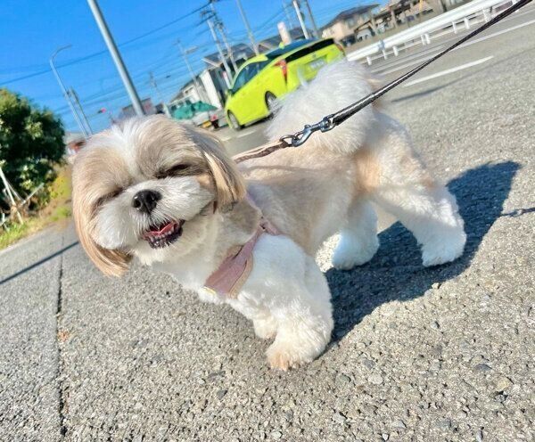 笑顔が可愛いつぶちゃん