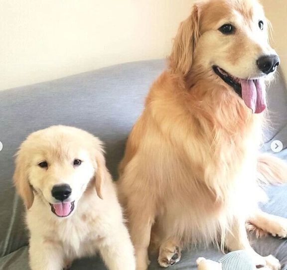 笑顔のアランくんとセナちゃん