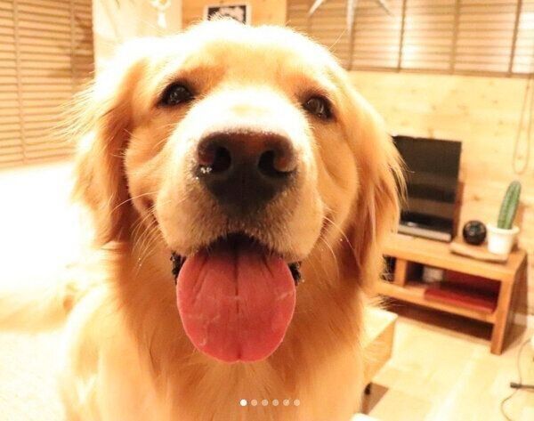 笑顔のモッシュくん