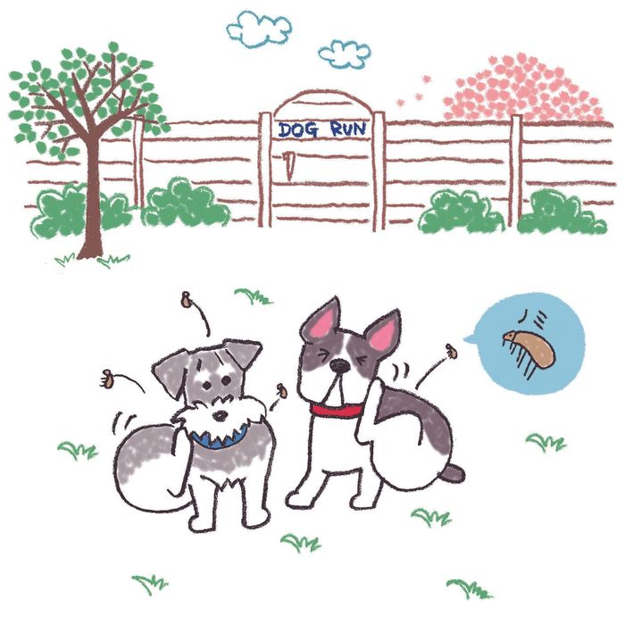 イラスト/オーツノコ