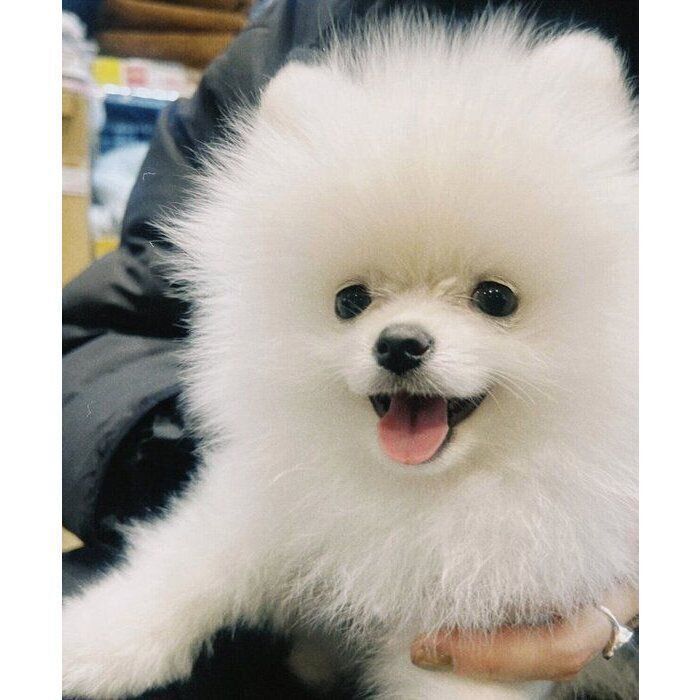 初めて会ったときの小太郎くん