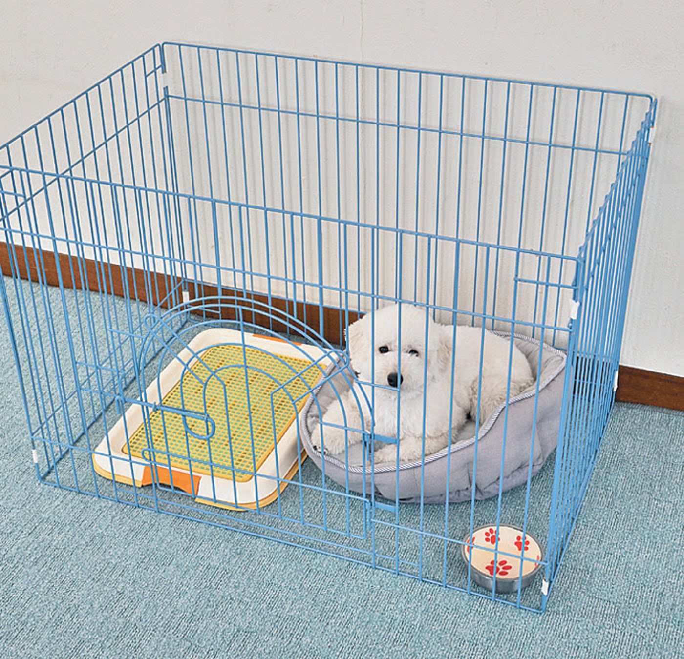 獣医師監修 小型犬ならではのトイレトレーニング方法やトイレの選び方 いぬのきもちweb Magazine 獣医師監修 小型犬ならではのトイレトレーニング方法やトイレの選び方 いぬのきもちweb Magazine