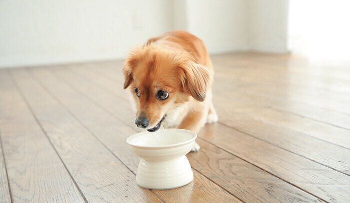 食べ方に違和感を覚える