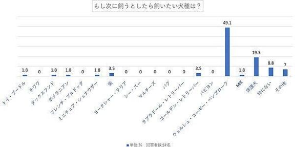もし次に飼うとしたら飼いたい犬種は?