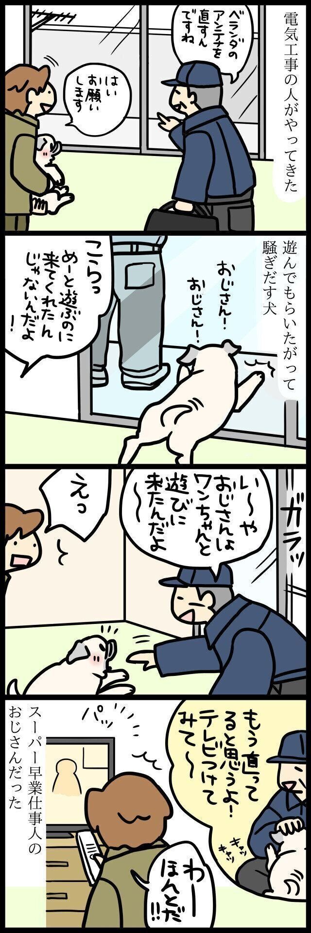 【連載】パグ犬めー