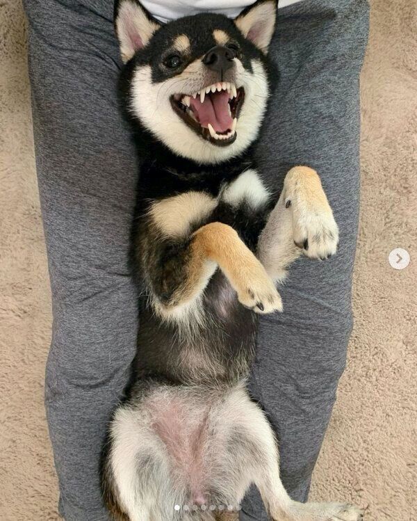 楽しそうなぽんずちゃん