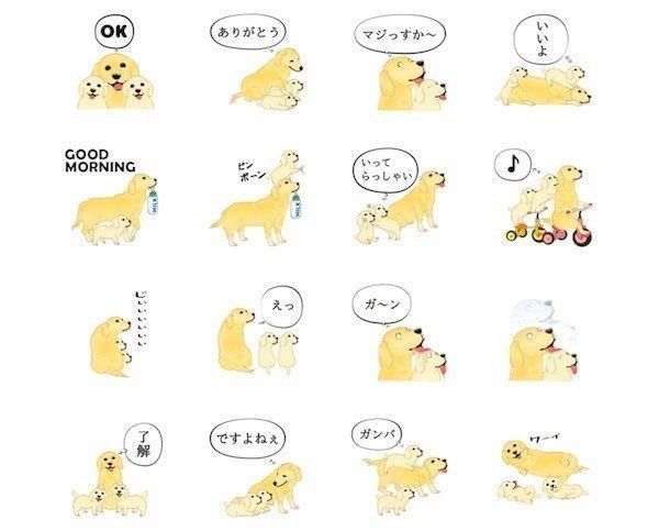 「激しく尻尾をふるゴールデンレトリバー3」