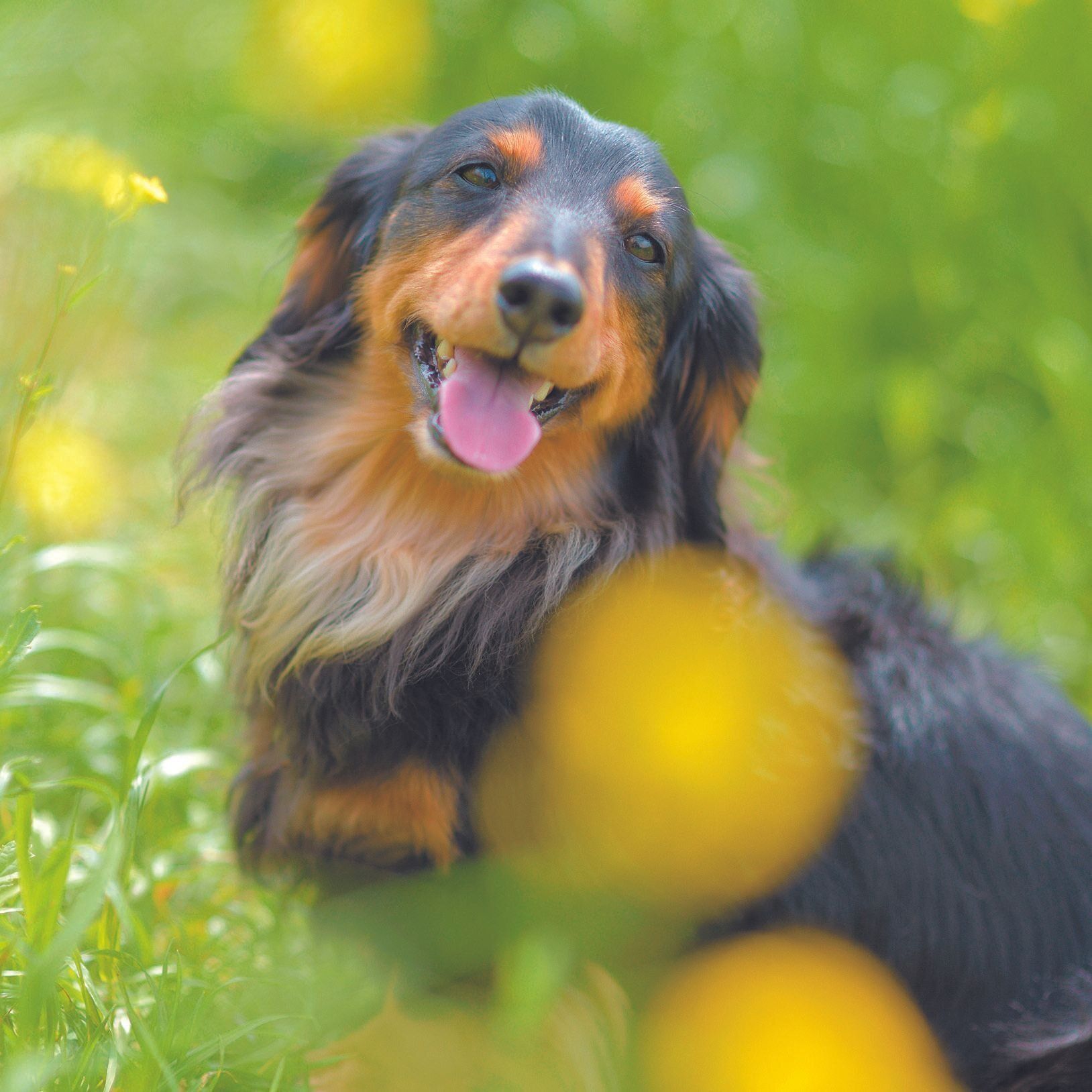 撮影／犬丸美絵