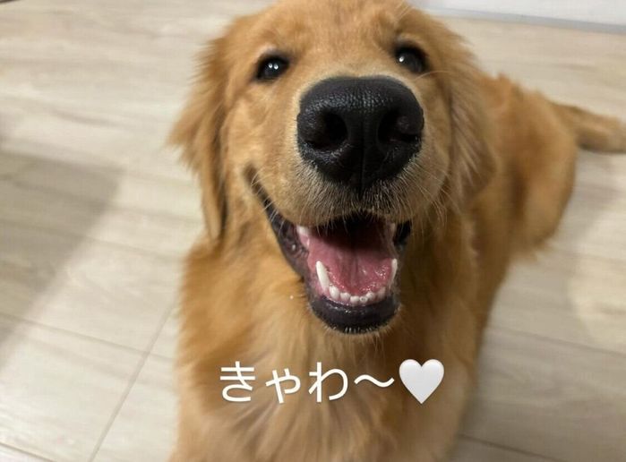 笑顔のパルちゃん