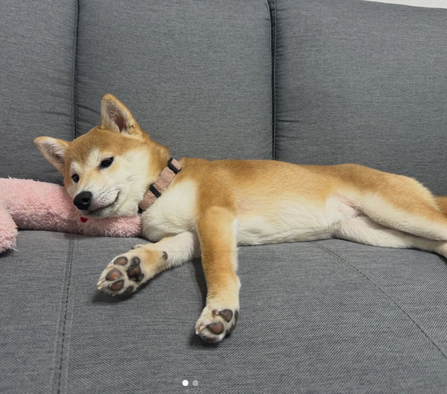 ソファでくつろぐいとちゃん