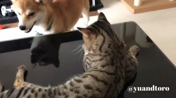 しょんぼりするゆうくん