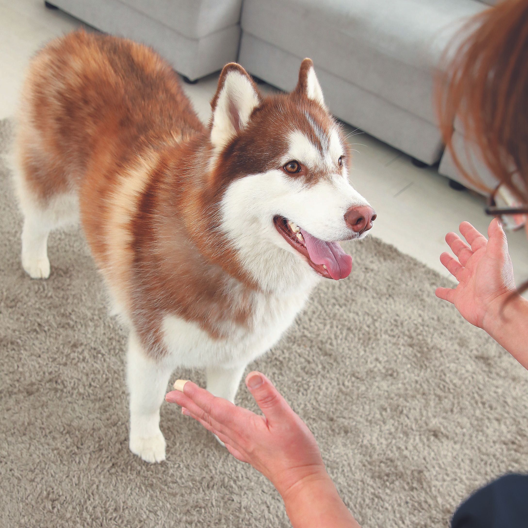 撮影／尾﨑たまき