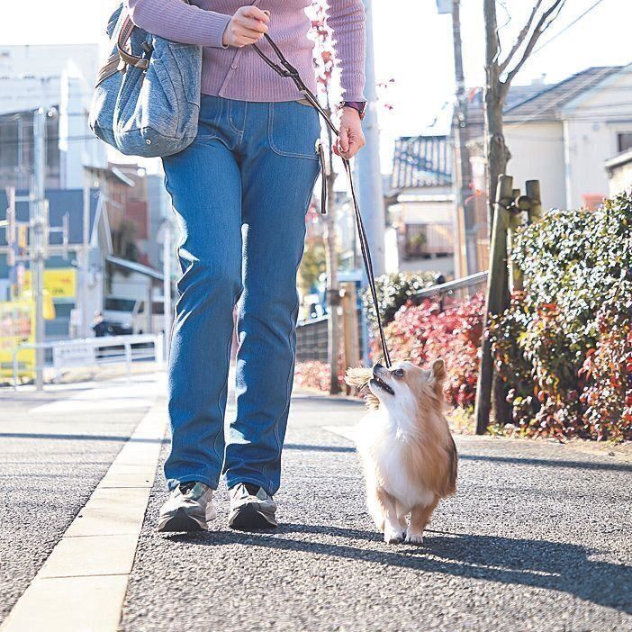 撮影／尾﨑たまき