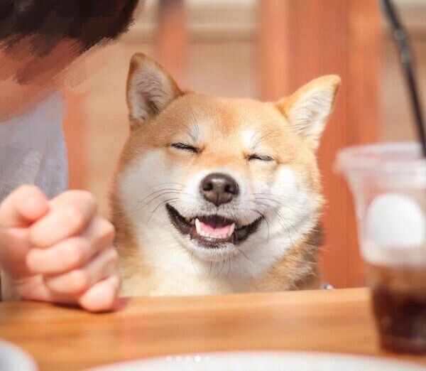 笑顔を見せるむぎちゃん