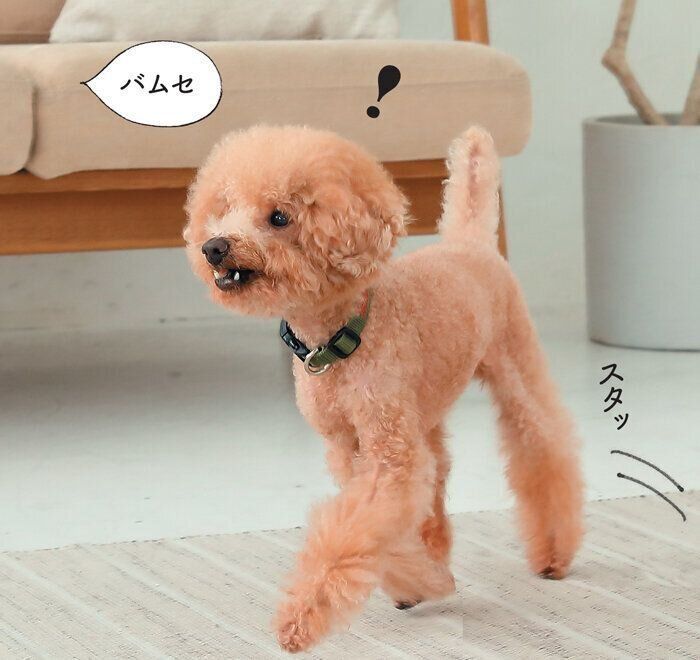 基本の「立つ」