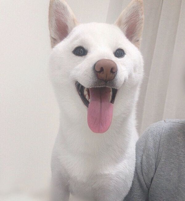 嬉しそうなもち吉くん