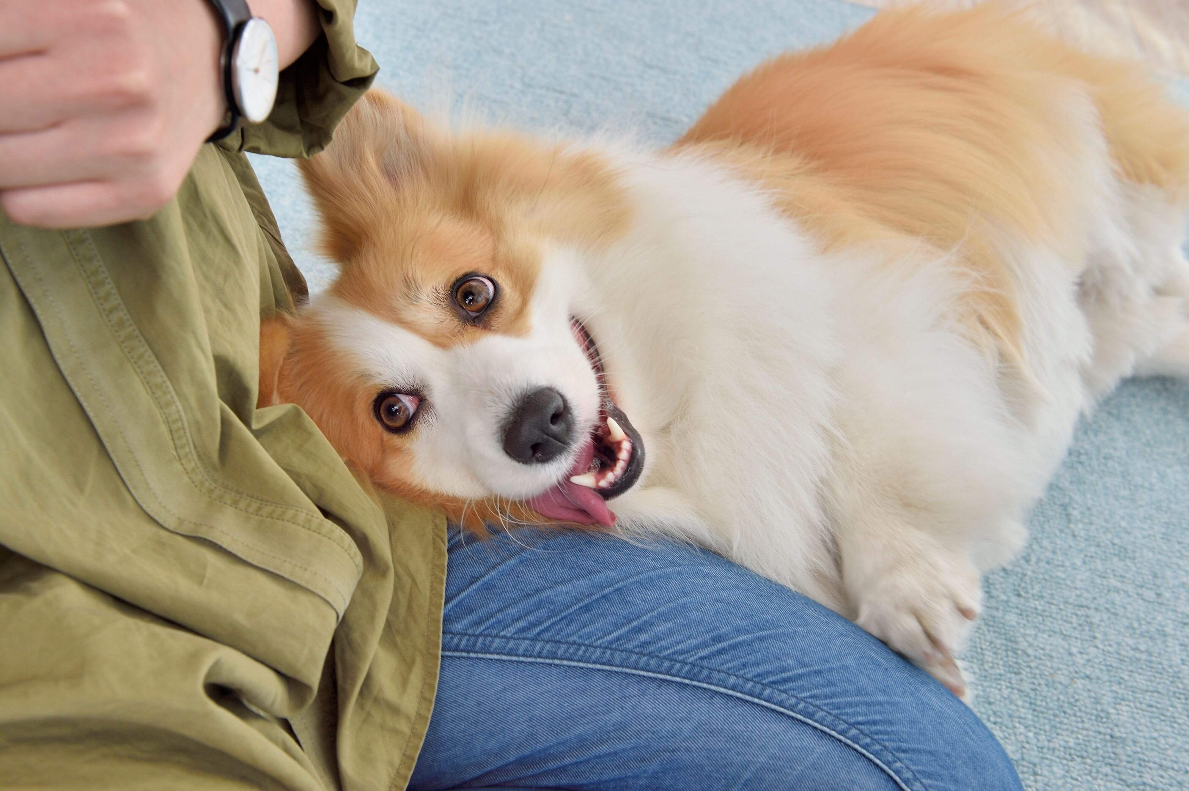 グイグイきてもうまく受け流す