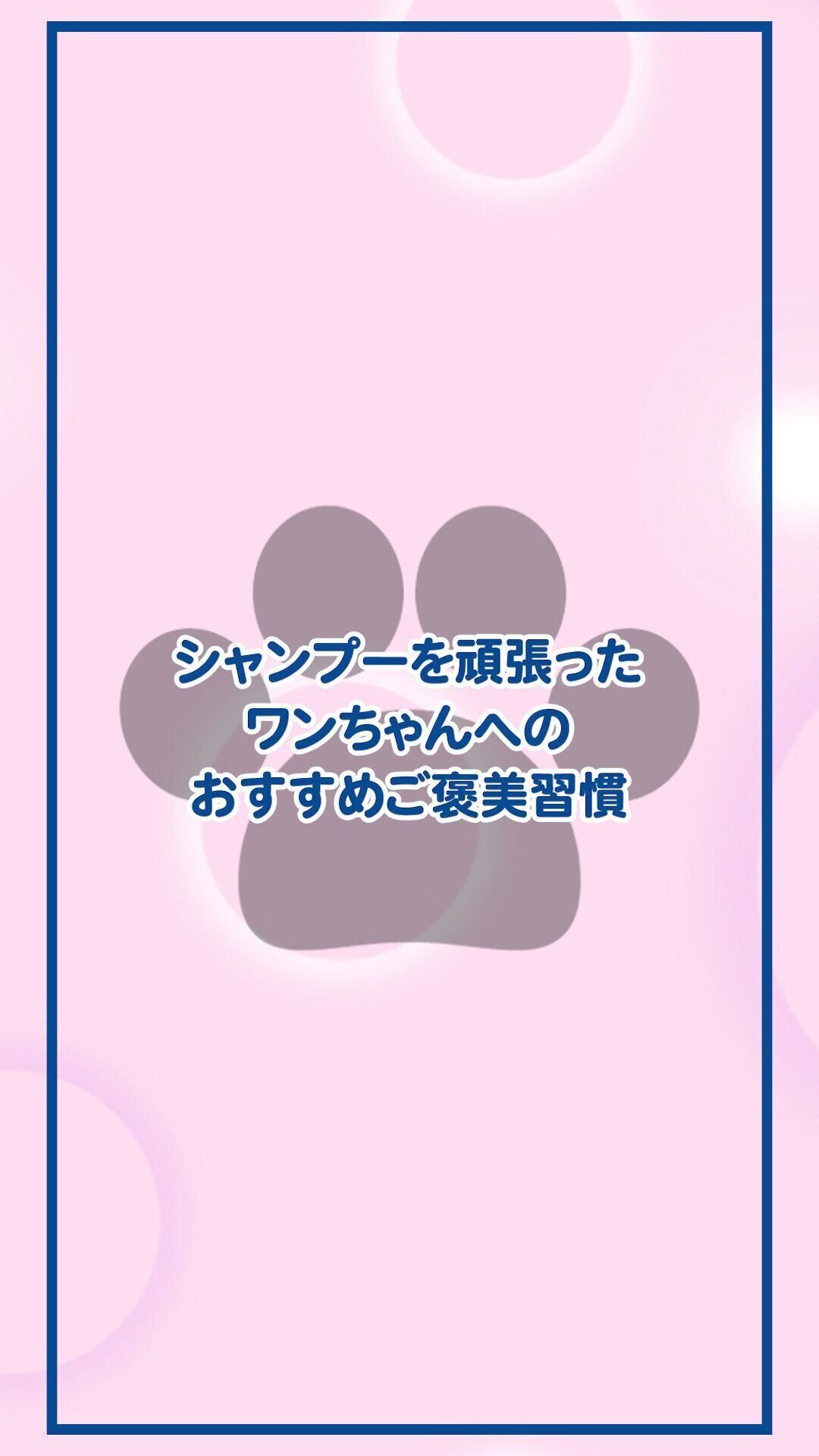 シャンプーを頑張ったワンちゃんへのおすすめご褒美習慣