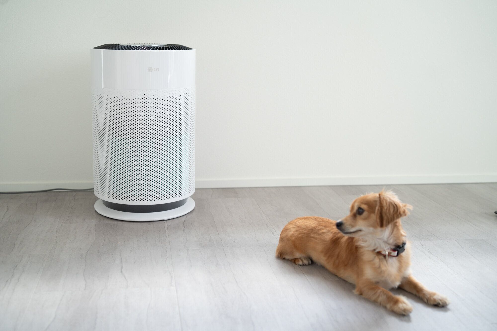 犬 ペット用空気清浄機