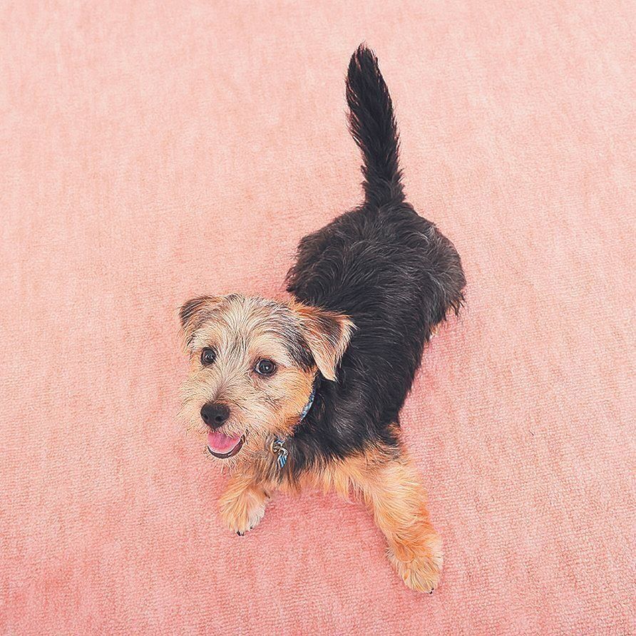 撮影／尾﨑たまき