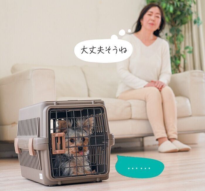 クレートの中で落ち着く犬