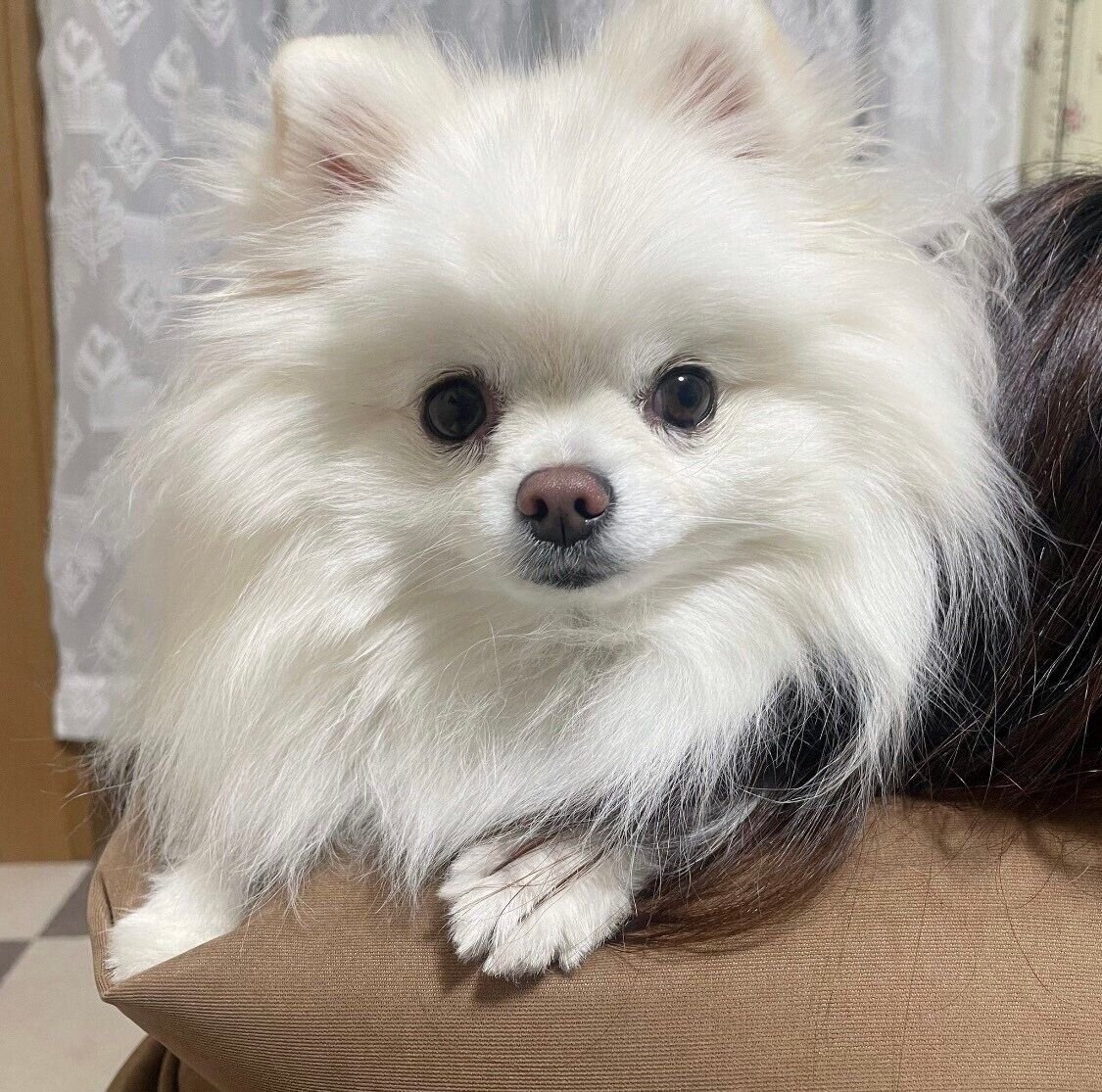 まっすぐな眼差しを向けるつむぎちゃん