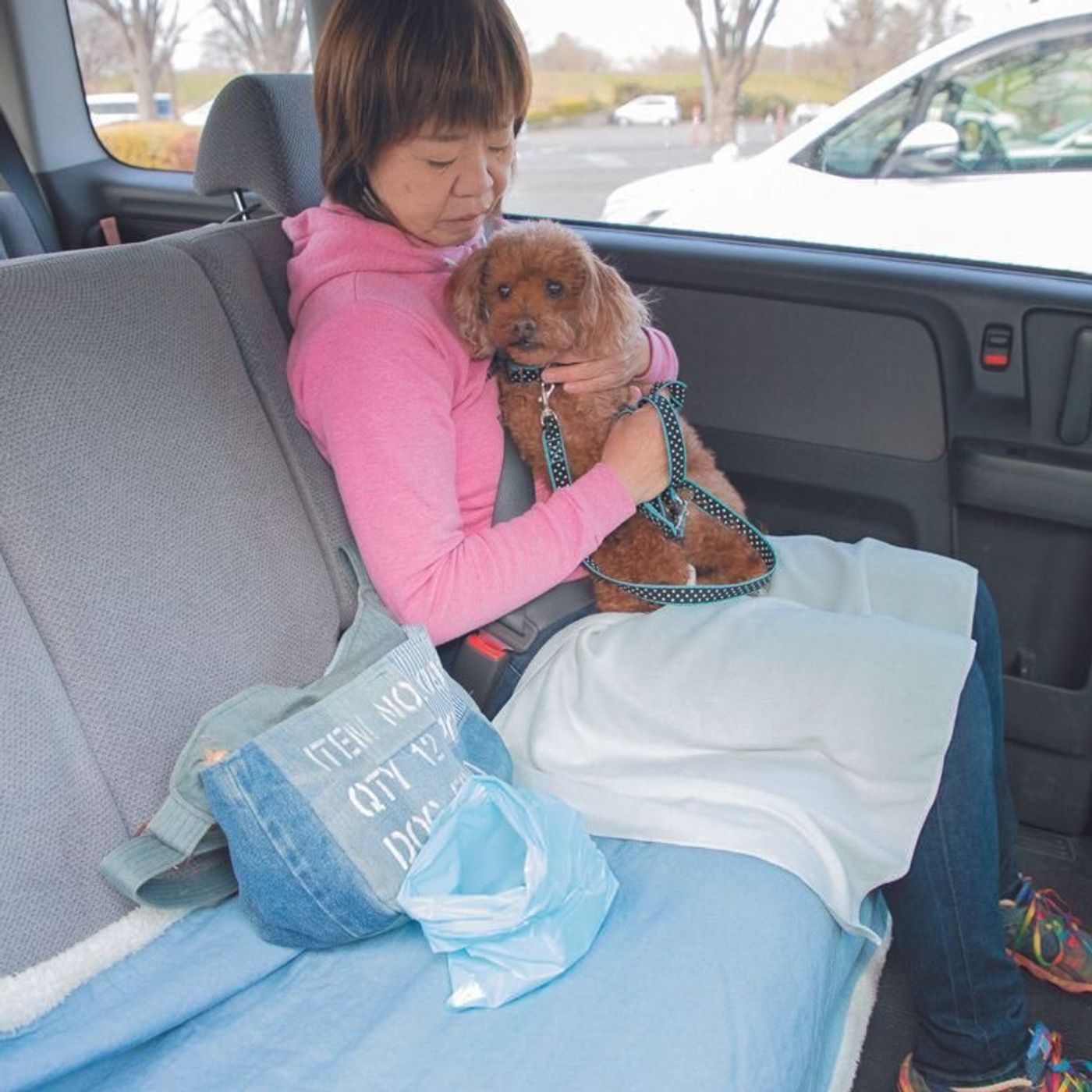 車酔い そそう 落ち着きがない 愛犬とのドライブでよくある困りごと プロはこう対処しています いぬのきもちweb Magazine 車酔い そそう 落ち着きがない 愛犬とのドライブでよくある困りごと プロはこう対処しています いぬのきもちweb Magazine