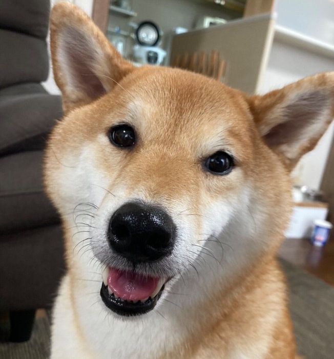 笑顔が可愛いみかんちゃん