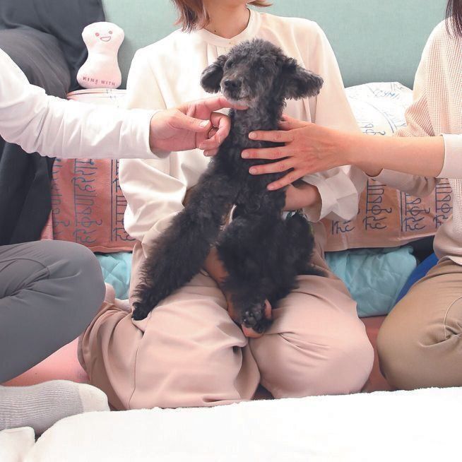 テレワークでの仕事が多い旦那さんと娘さんも、積極的にアイちゃんの介護をしています。アイちゃんを囲んでいつも笑顔が絶えないご家族