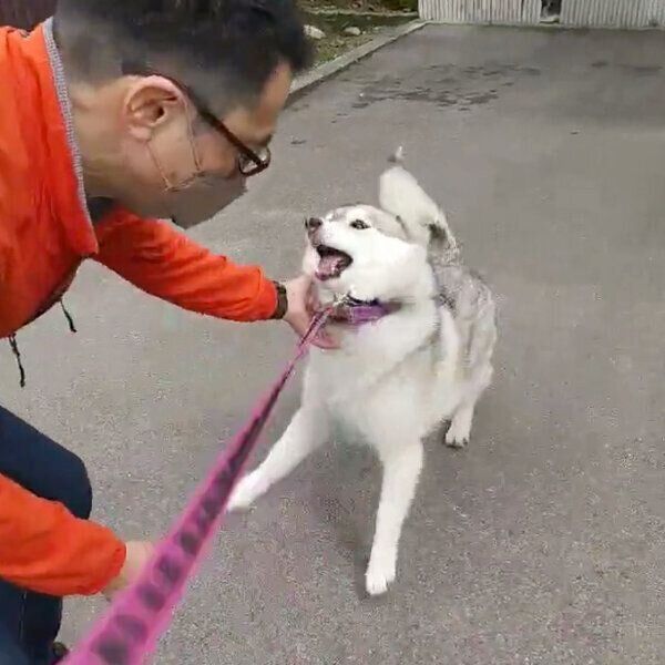 飼い主さんの帰りを待つほづみちゃん
