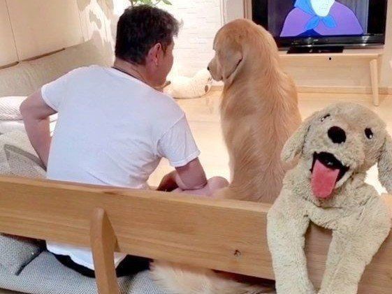 パパさんと「アルプスの少女ハイジ」を鑑賞するアランくん