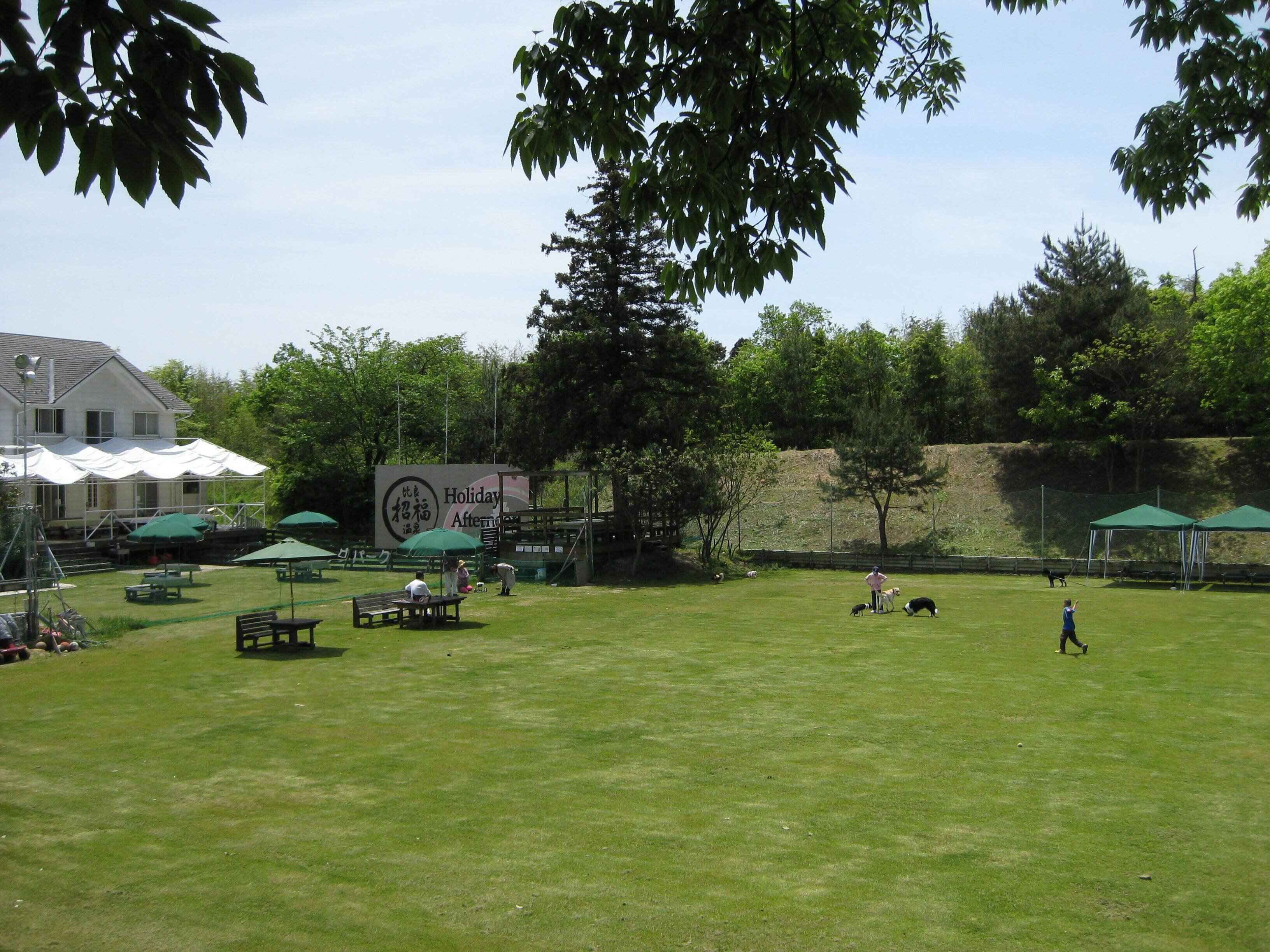 広々とした全面天然芝のドッグラン