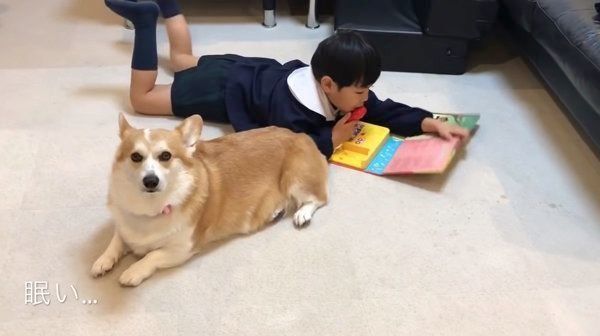 マイクの順番が回ってこないコーギー